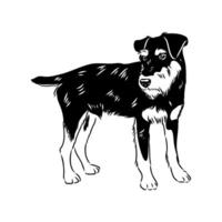 hunting dog German Jagdterrier sketch vector