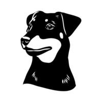 sketch of a dog's head German Jagdterrier vector