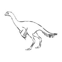A small, fleet-footed dinosaur named Avimim vector