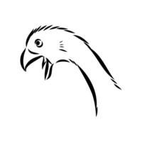 the head of a small dinosaur avimim sketch vector