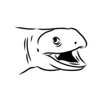 lizard abronia sketch vector