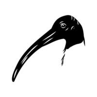the head of the swampy Australian ibis sketch vector