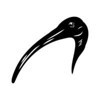 black and white sketch of the head of an Australian ibis vector