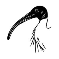 black and white drawing of the head of an Australian ibis vector