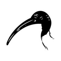 drawing of the head of an Australian ibis vector