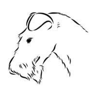 head profile of a wire-haired fox terrier vector