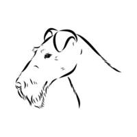 sketch of the head of a British wire-haired fox terrier vector