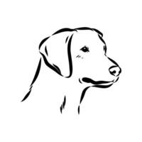 Scandinavian hound's head dunker sketch vector