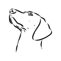 The dog's head is a dunker drawing vector