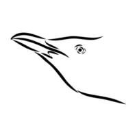sketch of the bird's head of a red-billed Australian gull vector