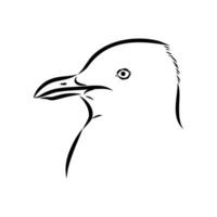 black and white drawing of the head of a carnivorous Australian seagull vector