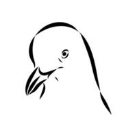 sketch of the head of a red-billed Australian seagull vector