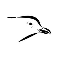 black and white sketch of an Australian seagull's head vector