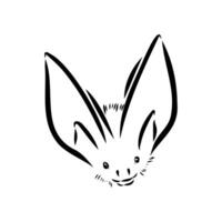 drawing of the muzzle of an eared bat vector