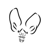 sketch of a bat's face vector