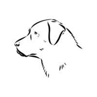 the head of a dog of the ancient breed Karabash vector