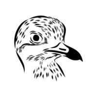 the head of a migratory bird avdotka plover sketch vector