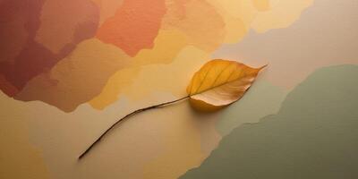 tape stick leaf flat lay on colorful background minimal autumn fall showing neutral abstract. photo