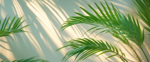Sunlight streaming through vibrant green palm leaves creating a serene atmosphere with ample space for text or graphics. photo