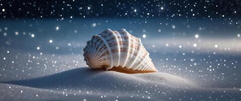 A shell is sitting on the sand in the snow photo