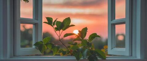 Beautiful sunset viewed through a window with vibrant green leaves in the foreground photo