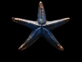 A blue starfish on a black background photo