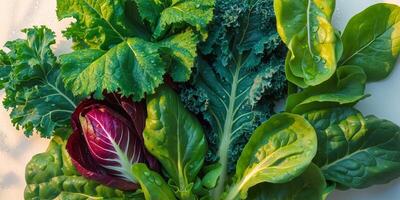 Vibrant macro image of fresh assorted leafy greens with water droplets. photo