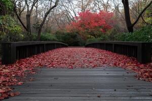 A wooden bridge covered in fallen autumn leaves in a park photo