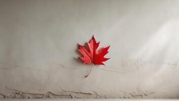 Single red leaf on textured white plaster background with copy space. photo
