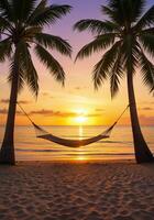 Tranquil Sunset Over Hammock Between Two Palm Trees on Beach photo