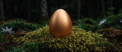A golden egg sits in a mossy forest clearing photo