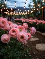 Pink poppies in a garden with string lights creating a romantic atmosphere photo