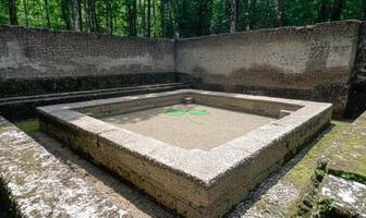 Ancient stone pool with a shamrock in the center photo