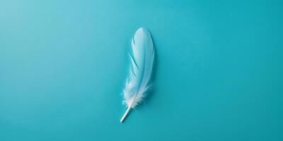 Soft blue feather resting on a vibrant turquoise background adds a touch of elegance to any design concept photo