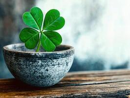 Four leaf clover in a pot on a wooden surface, symbol of luck and St Patricks Day photo