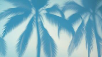 Tranquil Blue Background with Palm Shadows. photo