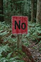 A weathered red sign with the word No in a lush forest setting. photo