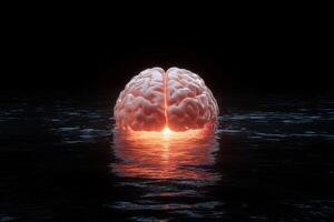 A brain submerged in water with a bright glow emanating from within photo