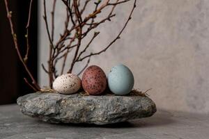 Three speckled Easter eggs on a stone with budding branches photo