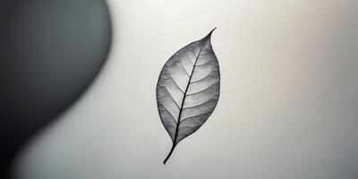 Abstract silhouette of a single leaf gracefully floating on a serene background contrasting dark and light shades photo