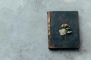 An old book with a flower on a textured background photo