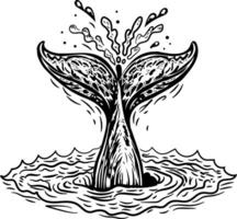 A vintage style icon of a whale tail in water vector