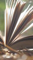 Open book in the forest. The concept of learning, reading, and knowledge. Close-up. Blurred background. Vertical video