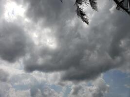 Overcast Sky with Sun Peeking Through Clouds and Palm Tree Branches photo