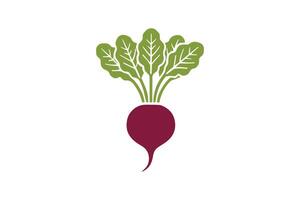 A beet on a white background vector