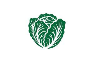 A green leafy vegetable is shown in a white background vector