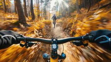 Mountain biking in the autumn forest photo