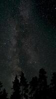 Time lapse of moving stars and The Milky Way in night sky, vertical video