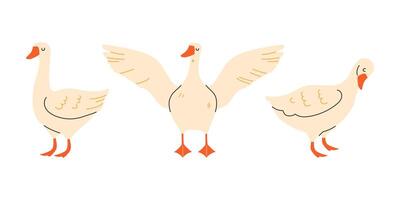 Playful geese in flat style on white background vector