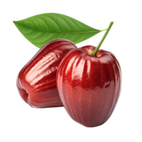 A shiny, two deep red Malay apple with a smooth, glossy surface, isolated on a transparent background png